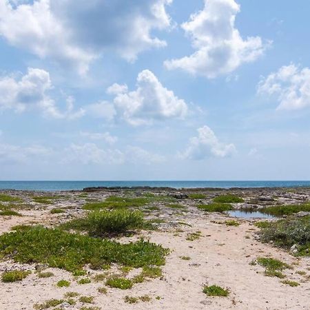 Ground Level Garden Condo At Akumal South By Tao Santamar 외부 사진