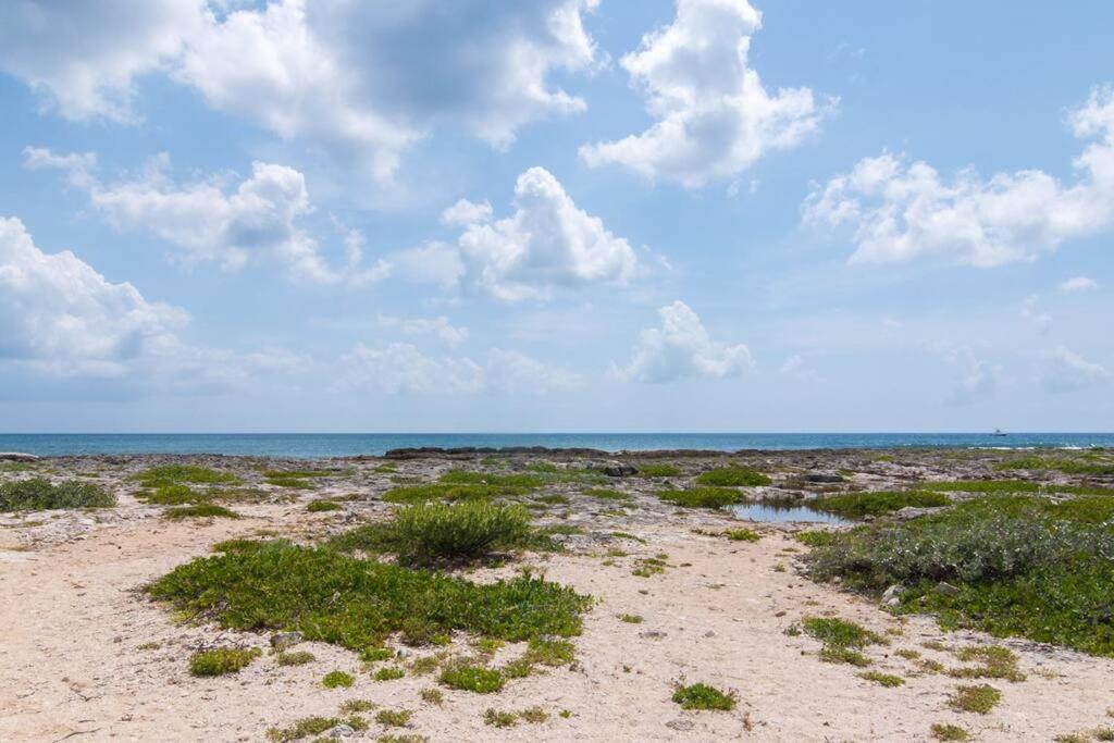 Ground Level Garden Condo At Akumal South By Tao Santamar 외부 사진