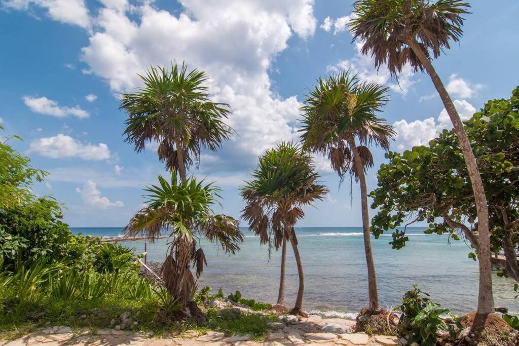 Ground Level Garden Condo At Akumal South By Tao Santamar 외부 사진