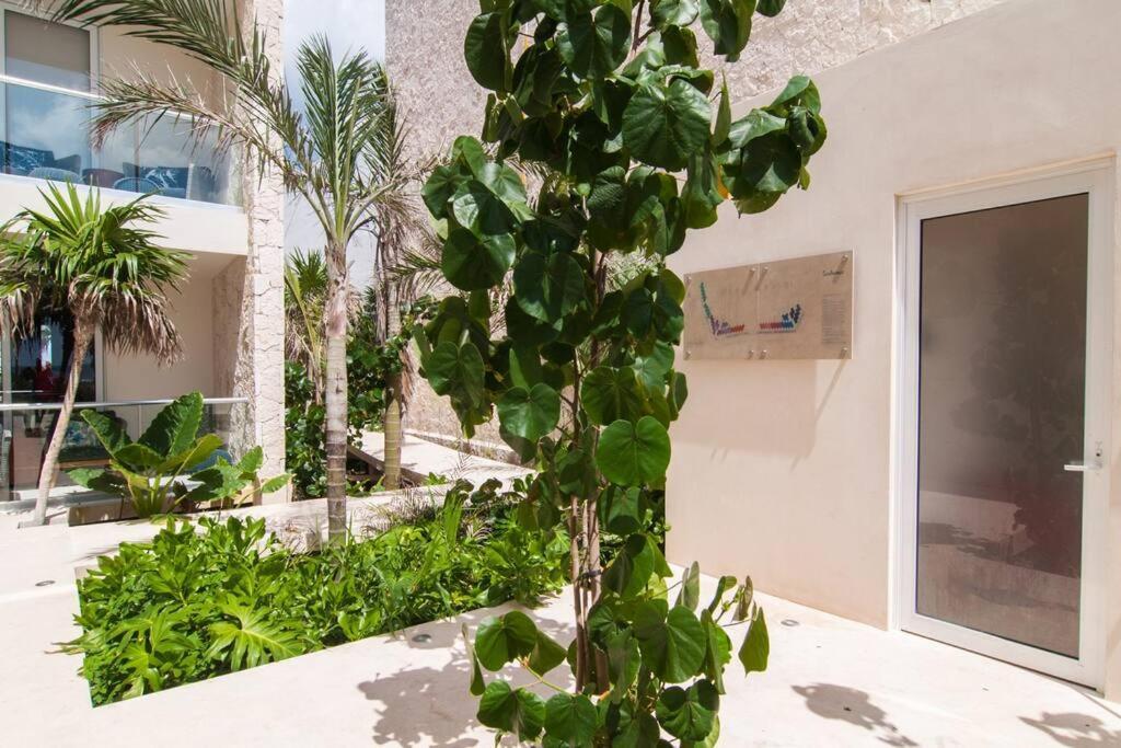 Ground Level Garden Condo At Akumal South By Tao Santamar 외부 사진